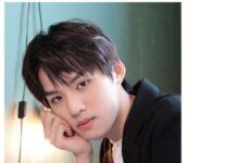 假髮選購推薦指南